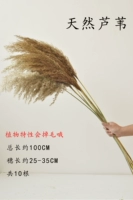 Натуральный тростник 10 метров 10