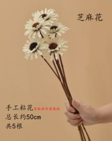 5 кунжутных цветов