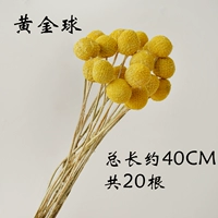 Золотой мяч 20