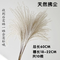 10 натуральный