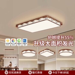 Living Room Main Light in Walnut Wood Color, Vintage Style Eye-Protection Ceiling Light, 2026 New Model, Whole House Package Lighting Set