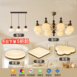 Living Room Chandelier, American Mid-Century Style Dining Room Lamp, Hall Main Light, French Retro, South Asian Style, Wabi-Sabi Style Bedroom Lighting Fixtures
