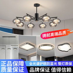 Living Room Chandelier, Italian Minimalist Magic Bean Glass Main Chandelier for Hall, Home Eye-Protection High-Brightness Lighting with a High-End Feel