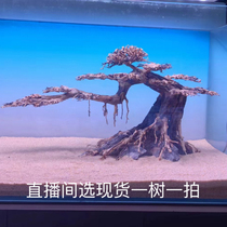 New Moss Tree Welcomes Pine Banyan Tree Sunken Wood Skeleton Grass Tank Landscaping Customized One-Wood Fish Tank Design New Product