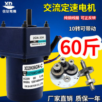 Cinda 220V AC Gear Reduction Motor 6W Constant Speed Single Phase Motor Damping Micro Slow Induction Motor