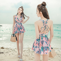 The seaside new one-piece dress swimsuit womens conservative belly slim sexy show back hot spring swimsuit plus size