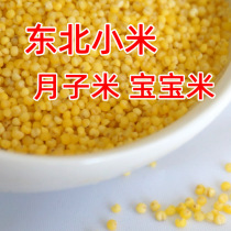 2021 Northeast New Xiaomi farmhouse self-produced small yellow rice lunar submi baby rice 1 catty 500g full RMB27
