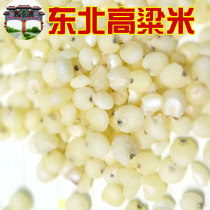 Northeast New goods farmhouse homemade peeled high beam rice a catty of 500g full RMB27