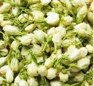 Premium Jasmine Tea Jasmine flower bud Jasmine flower bud herbal tea 500g