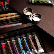 Imported from the Netherlands Terrence TALENS Brown oil paint artist grade oil paint gift wooden box set