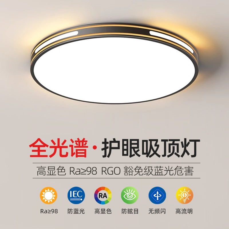Led Ceiling Lamp, Simple, Modern and Elegant, 2025 New Model, Master Bedroom Lamp, Round Balcony, Living Room, Room Lighting Fixtures