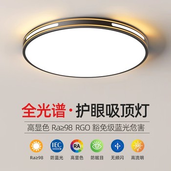 Led Ceiling Lamp, Simple, Modern and Elegant, 2025 New Model, Master Bedroom Lamp, Round Balcony, Living Room, Room Lighting Fixtures