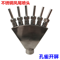 Stainless Steel Anchoytail Fountain Nozzle Peacock Open Screen Nozzle Multi DC Straight Shot Pool Park Fake Mountain Waterscape Landscape