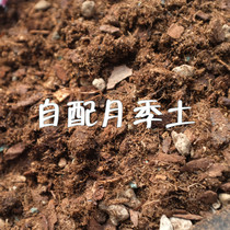 Self-matching moon soil nutrient soil universal nutrient soil peat soil flower