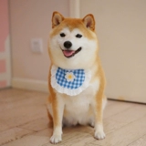 Летний слюнявчик, милый нагрудник в форме цветка, шарф