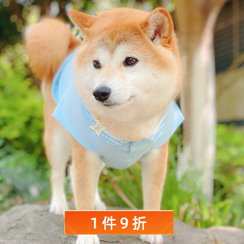 Dog Spring and Summer Two-legged Clothes 2020 New Pet Clothes Japanese Cute Small and Medium Dog Clothes Shiba Dog Clothes