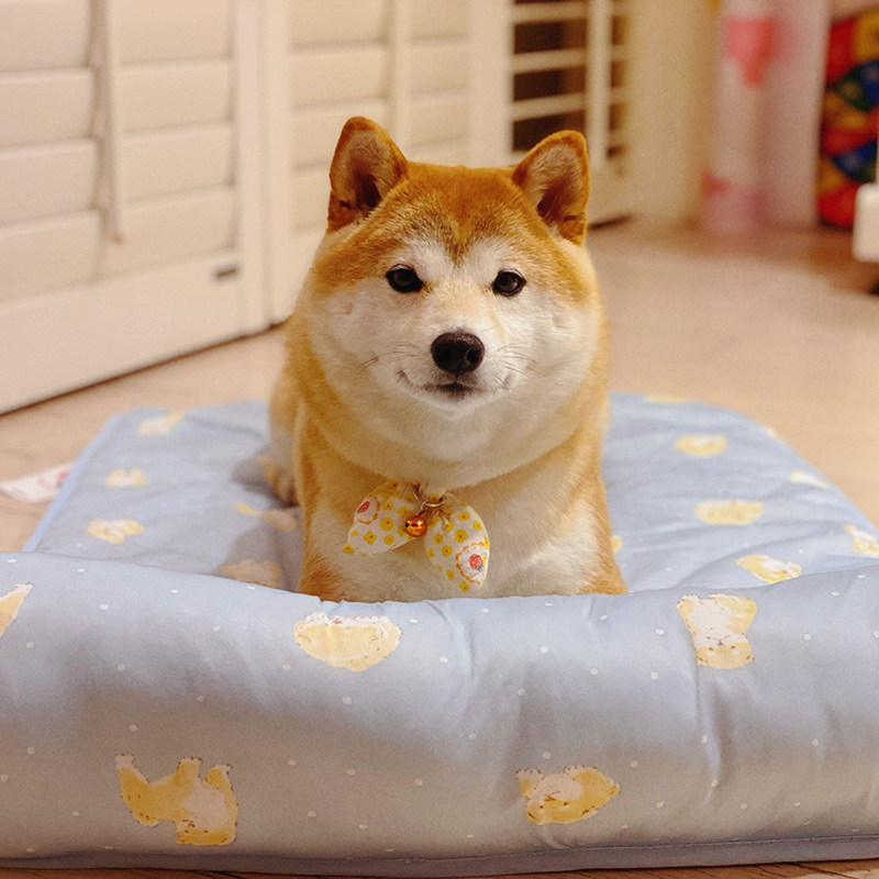 Dune cat pet cool mat summer dog cat ice silk sleeping mat dog mat removable and washable wood dog mat