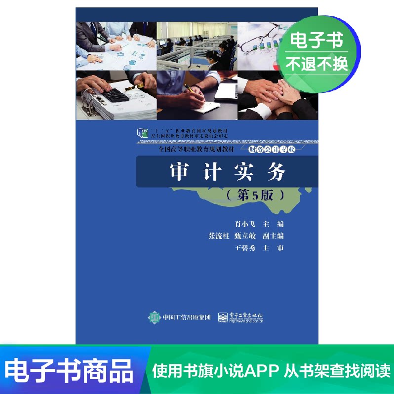 Auditing Practices (5th Edition)