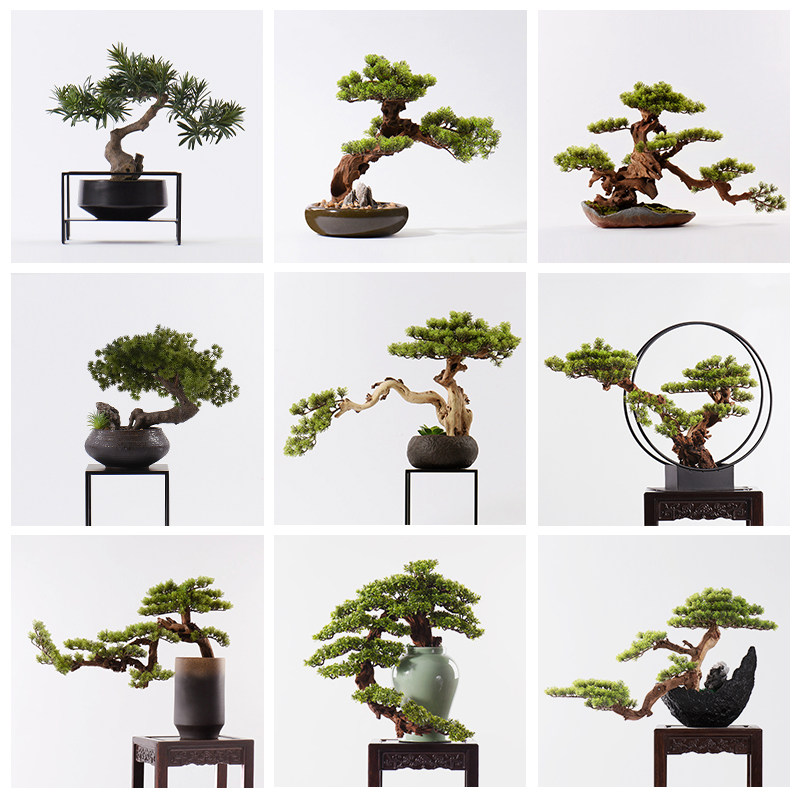 New Chinese emulated welcome guest pine bonsai office Green planting living room Hotel Xuanguan Loose Floor Decorative Swing