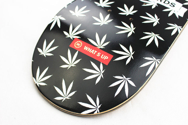 Skateboard pour homme femme BACKFIRE - Ref 2601269 Image 8