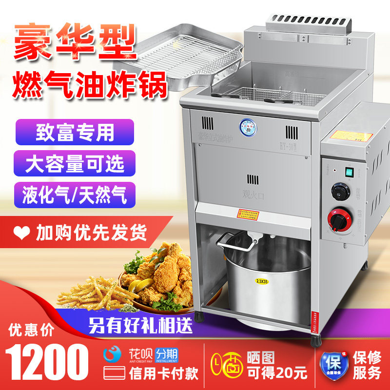 Golden Gull commercial large capacity gas fryer Stall fried chicken skewer fritter machine Fries chicken chops machine Gas fryer