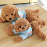 Черная реалистичная плюшевая игрушка, тряпичная кукла, домашний питомец