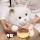Кукла-маппет cat doll имитация плюшевой игрушки cat doll будет называться милый домашний котенок ragdoll girl gift mini 3