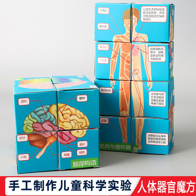 科学实验DIY人体器官魔方儿童中小学生手工科技制作物理科普教具