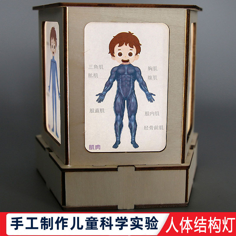 科技小制作科学实验diy人体结构观察灯认识人体器官学生手工材料