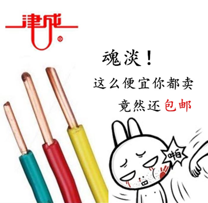 Zincheng Wire and Cable Copper Core Wire BV2 5 square wire 4 square wire red double color special price