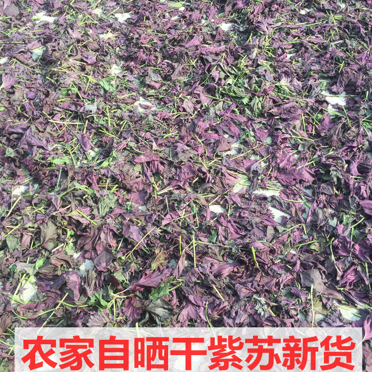 Fresh Sun Sunburn Authentic Wild Purple Suba Leaves 100g Farmyard Purple Suns Dried to Fishy Fish Shrimp Crab Seasoning Spices