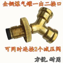  Liquefied gas cylinder one-out two-interface adapter Gas tank at the same time install low-pressure high-pressure double pressure reducing valve