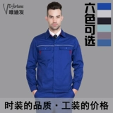 Весенний лонгслив, комбинезон, униформа