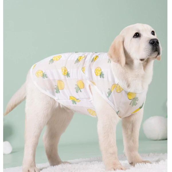 Товары от 我的美丽很纯粹