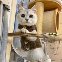 Кофейный жилет