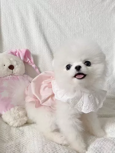 Милая летняя юбка для выхода на улицу, тонкий шнурок-держатель