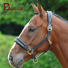 Недоуздок 英国shires牛皮牵马笼头牵马龙头拉马龙头笼头结实耐用bcl328108