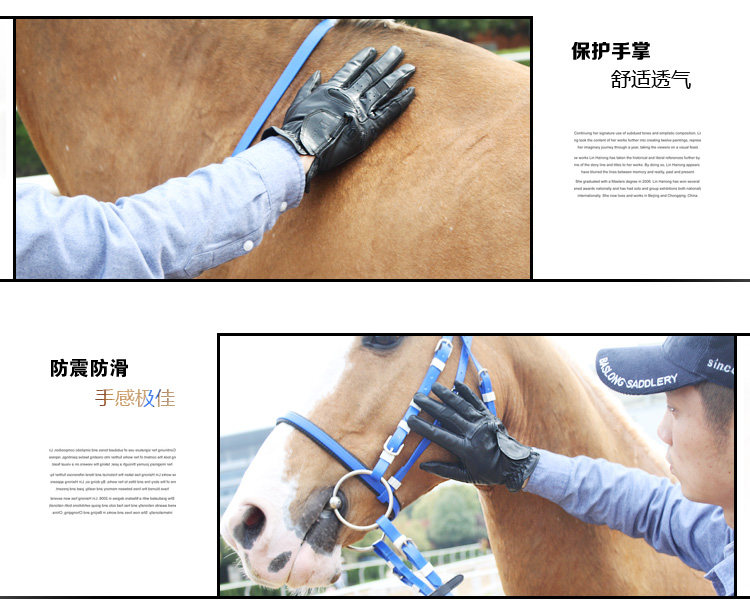 Article équitation - Ref 1381598 Image 24