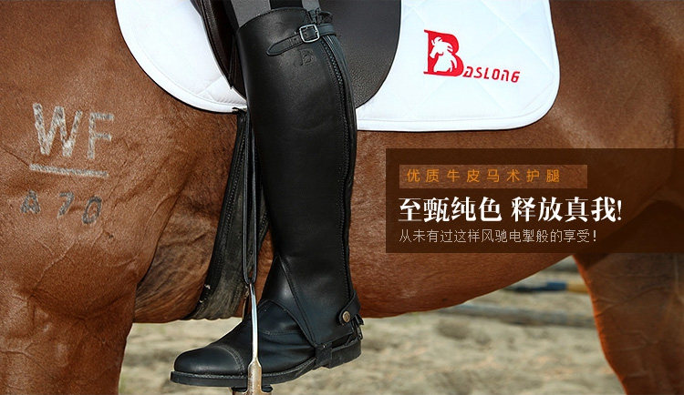 Article équitation BASLONG - Ref 1380456 Image 14