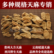 Guizhou gastrodia elata 500 gr 2 catty of gastrodia elata 500 gr dry gastrodia elata powder gastrodin dried goods small gastrodia