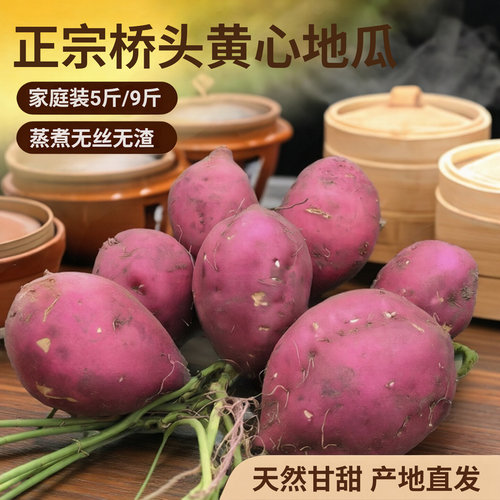 海南澄迈桥头黄心粉糯番薯