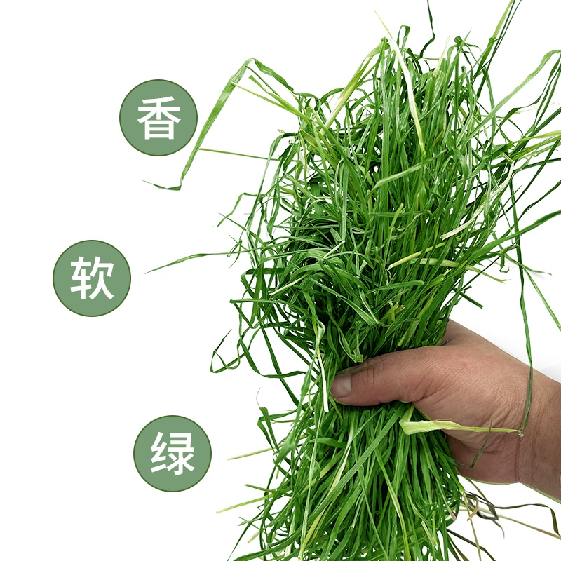 2024 Xincao сандая Plum Herdonan Rice Dry Tyosi Grass Bunny Totoro Donarnium Doninna 500 грамм
