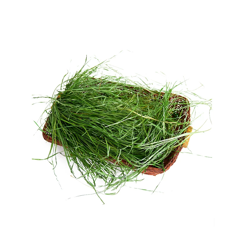 2024 Xincao сандая Plum Herdonan Rice Dry Tyosi Grass Bunny Totoro Donarnium Doninna 500 грамм