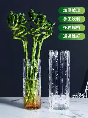 Extra large floor-to-ceiling rich bamboo vase ornaments glass transparent hydroponic hydroponic straight tube household living room flower arrangement decoration