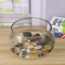Creative aquarium ecological round glass goldfish tank large turtle tank Mini small landscape hydroponic vase