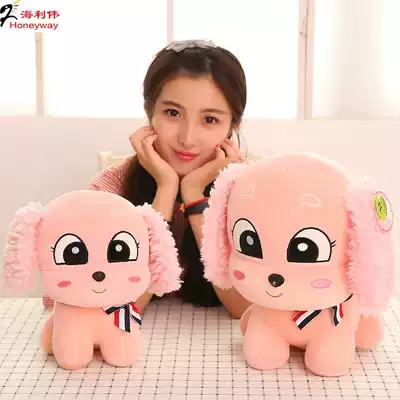 Hailiang eye cute plush toy Dog doll Dog doll Dog year mascot Zodiac doll Birthday gift female