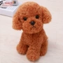 Teddy dog ​​sang trọng đồ chơi chó búp bê mô phỏng chó con Husky búp bê búp bê trẻ em món quà sinh nhật nữ - Đồ chơi mềm đồ chơi bé gái 