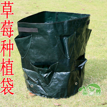 Home Balcony Strawberry Bag Eight Pocket Medicinal Herb Vegetable Solid Planting Bag Flower Pot PE woven fabric Anti-ageing