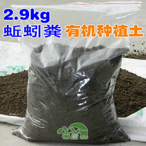 Organic fertilizer king 9999 foot red earthworms manure full of five catties and two organic cultivation of earth-earthworm soil