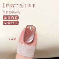 Американская кошка